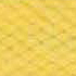 Closeup of buttercup yellow trim